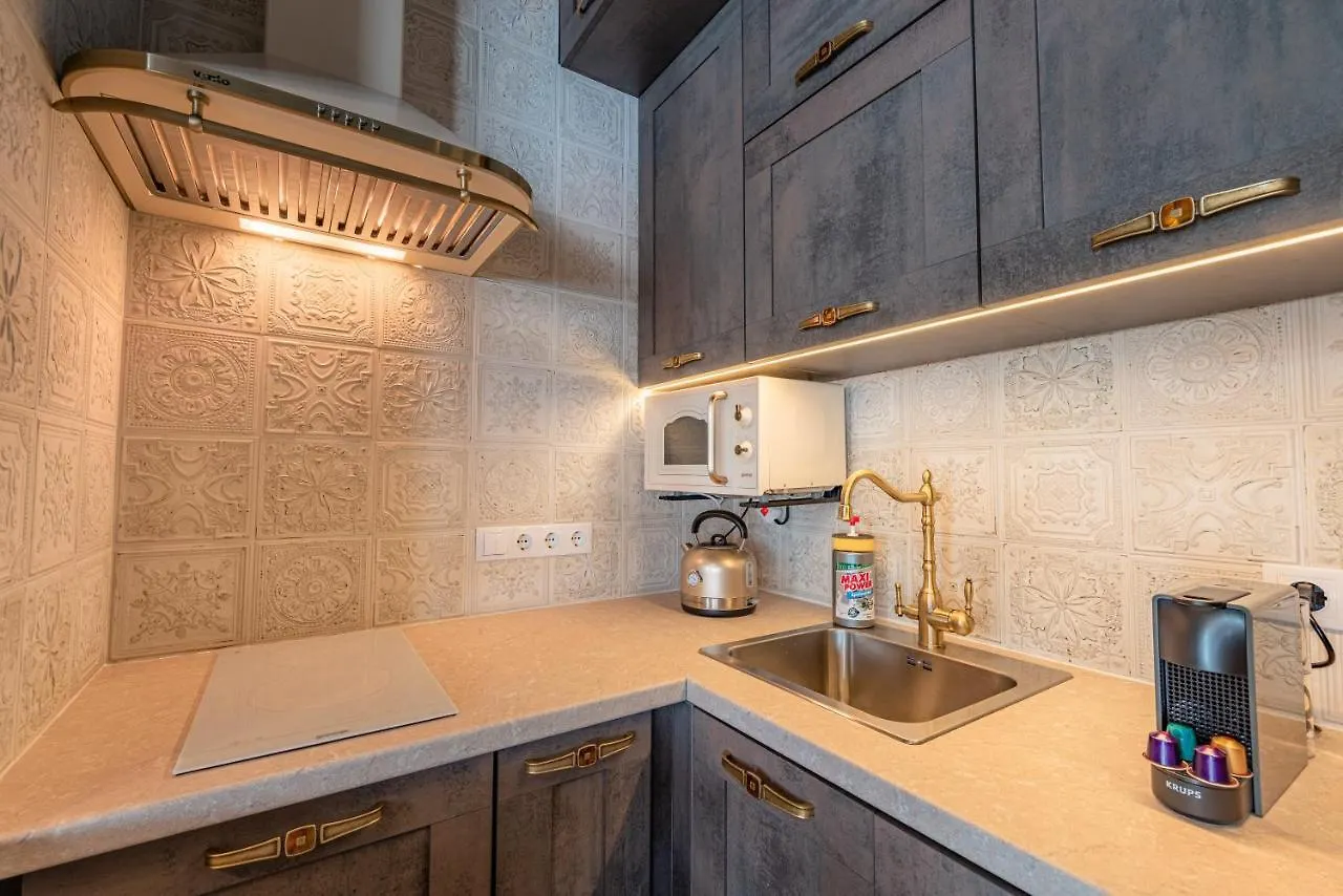 Eco Apartments In French Quarter 基輔